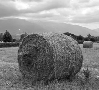 Rightmark Group lawyers protected interests of a debtor – a major agricultural enterprise, and the debtor’s creditors.